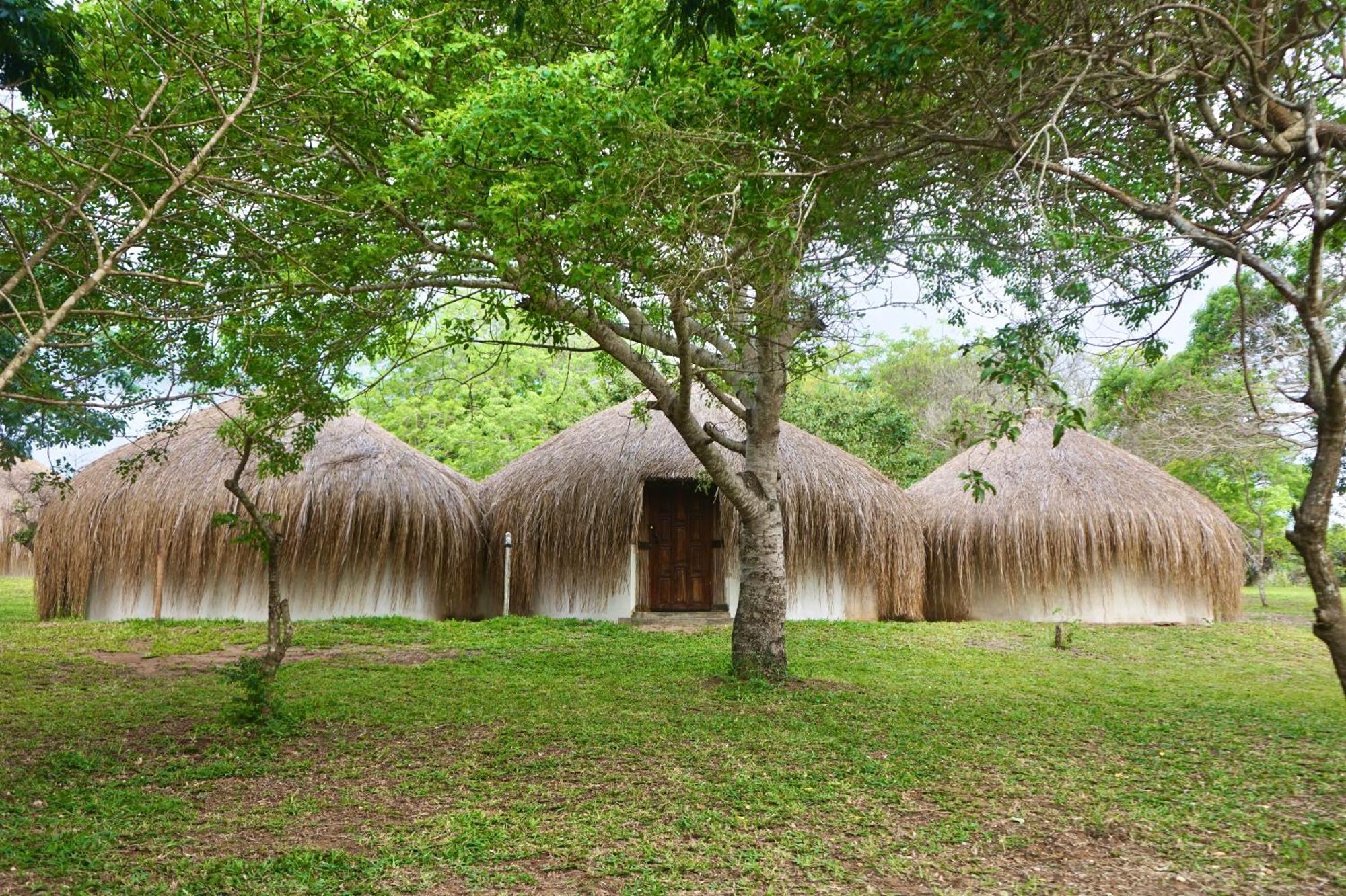 Nhambavale Lodge تشيدينغيل المظهر الخارجي الصورة